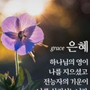 은혜농장 네이버블로그