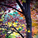 엔젤복지용구 이미지