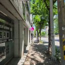 푸른달 | 청주타로 가경동 "푸른달타로" 리얼 후기(직장운,건강운,가족운)