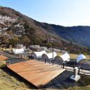 월아산 숲속의 진주 자연휴양림 이미지