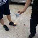 샛골농장 이미지