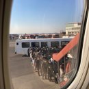 노현목장 | 안녕 제주 🌴