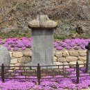 월리사 이구당부도 이미지