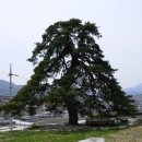 노곡리마을회관 이미지