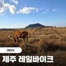 오름농장 | 제주 동쪽 가볼만한 곳 레일바이크 용눈이오름 갈대밭 겨울 할인 이용 후기