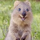 일라이 | [시집가는 덕배짱]Ep.07 대환장 파티였지만, 결과물은 환상적이었_ 일라이스튜디오 촬영후기