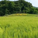 인해농원