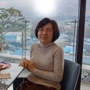 피노펠리즈 이미지
