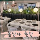 그린샤브&쭈꾸미 | 고양 원당 샤브샤브 봄담아 쭈꾸미 까지 솔직후기