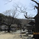 세종대왕자 태실 이미지