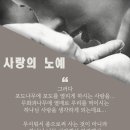 ＜오늘, 묵상＞ 사랑의 노예 이미지