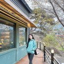 트리팜(TreeFarm) | 꾸안꾸 데일리룩으로 입기 좋은 후드티 #1567