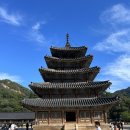 법주사 - 1597 | 법주사