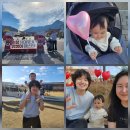 서11-405 | 2025.11.16.일 (405일차) 2025 순창 떡볶이 korea 페스타 + 배라모임