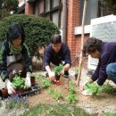 녹천농장 이미지
