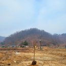 또고르