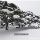 삼산 소공원 네이버블로그