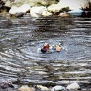 음악과 의학 이미지