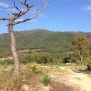 모전마을회관 이미지