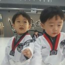 경희대진무태권도장 이미지