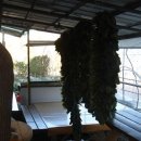 무주황실펜션 이미지