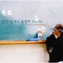 까메 Daum카페
