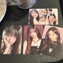 스타쉽월드 | 25년 아이브 월드투어 콘서트 2일차 후기