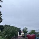 천지연농수산 | 24년 7월 제주도 3박 4일 여름여행 DAY3 / 서귀포 가볼만한 곳 코스 추천