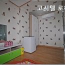 로하스고시텔