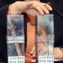 서울소나무의원 이미지