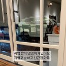 카페에드모어
