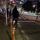 [🇯🇵일본, 도쿄] 도쿄 여행 알차게 즐기기 | 일본인과 친구가 되다??? | 3박 4일 여행 코스