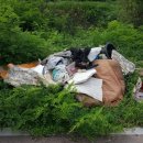 관양2동주민센터 이미지