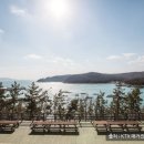 완도원네스리조트 이미지