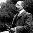 첼로(야간) 이미지