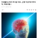 미세플라스틱이 무서운 이유…신체 '이곳'에 다닥다닥, 치매 위험↑ 이미지