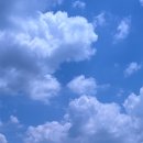 석바위도서관 | 주안/석바위 24시 속눈썹펌 잘하는 곳 [아도라래쉬] 후기