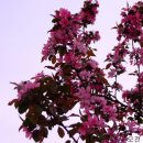 인동고등학교 이미지