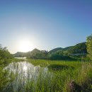 화포천생태습지공원 이미지