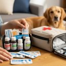 개봉동물병원 이미지