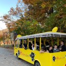 직지문화공원화장실 이미지