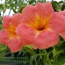 상원경로당 이미지