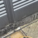 작전동전문음식점 이미지