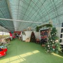 알뜰 농장 | 부산 딸기체험 아이와가기 좋은곳 플랜비 체험농장 다녀오다.