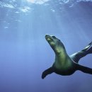 블루라이브 이미지