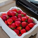 형주농장 이미지