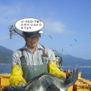 행운수산 이미지