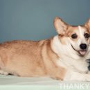 똘똘이농장 이미지