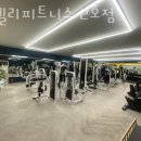 포엘리 피티 | 동회동헬스장 동해시헬스 PT 피티 포엘리피트니스 2호점 가격 주차 후기
