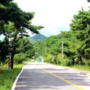 옥계해수욕장(숲) 이미지